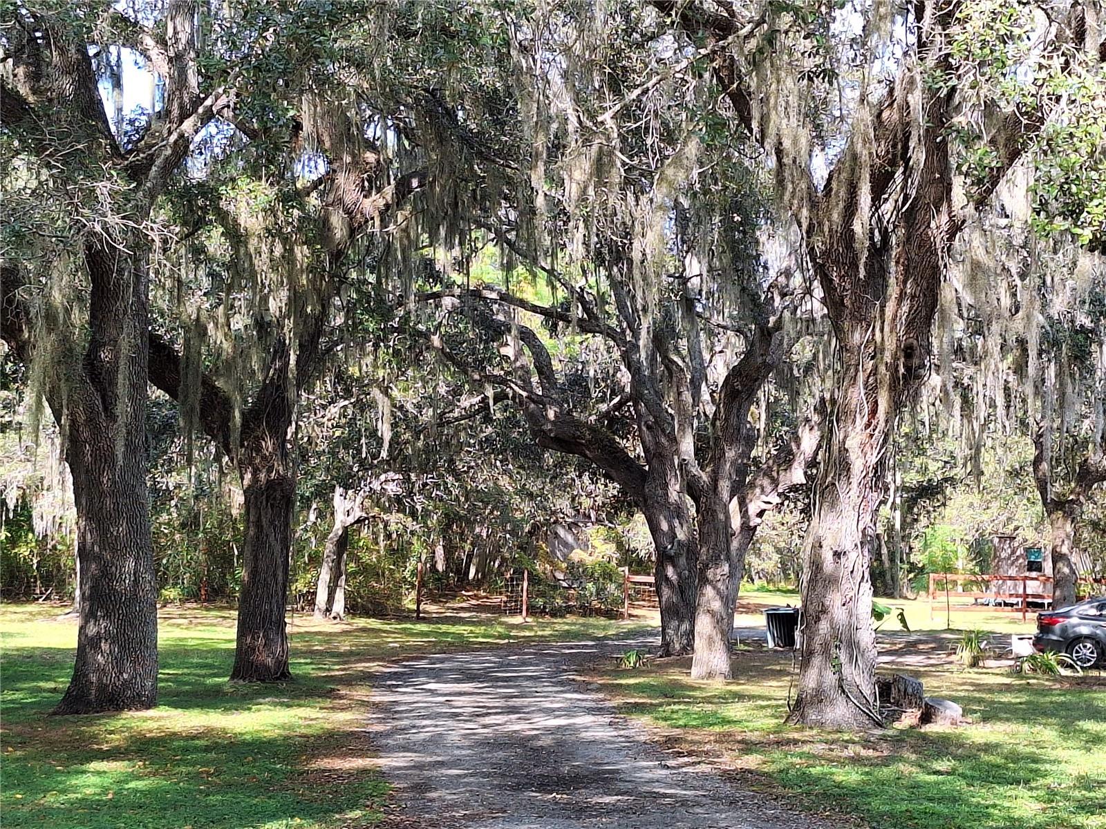 Image 85 of 97 For 13117 Media Lane