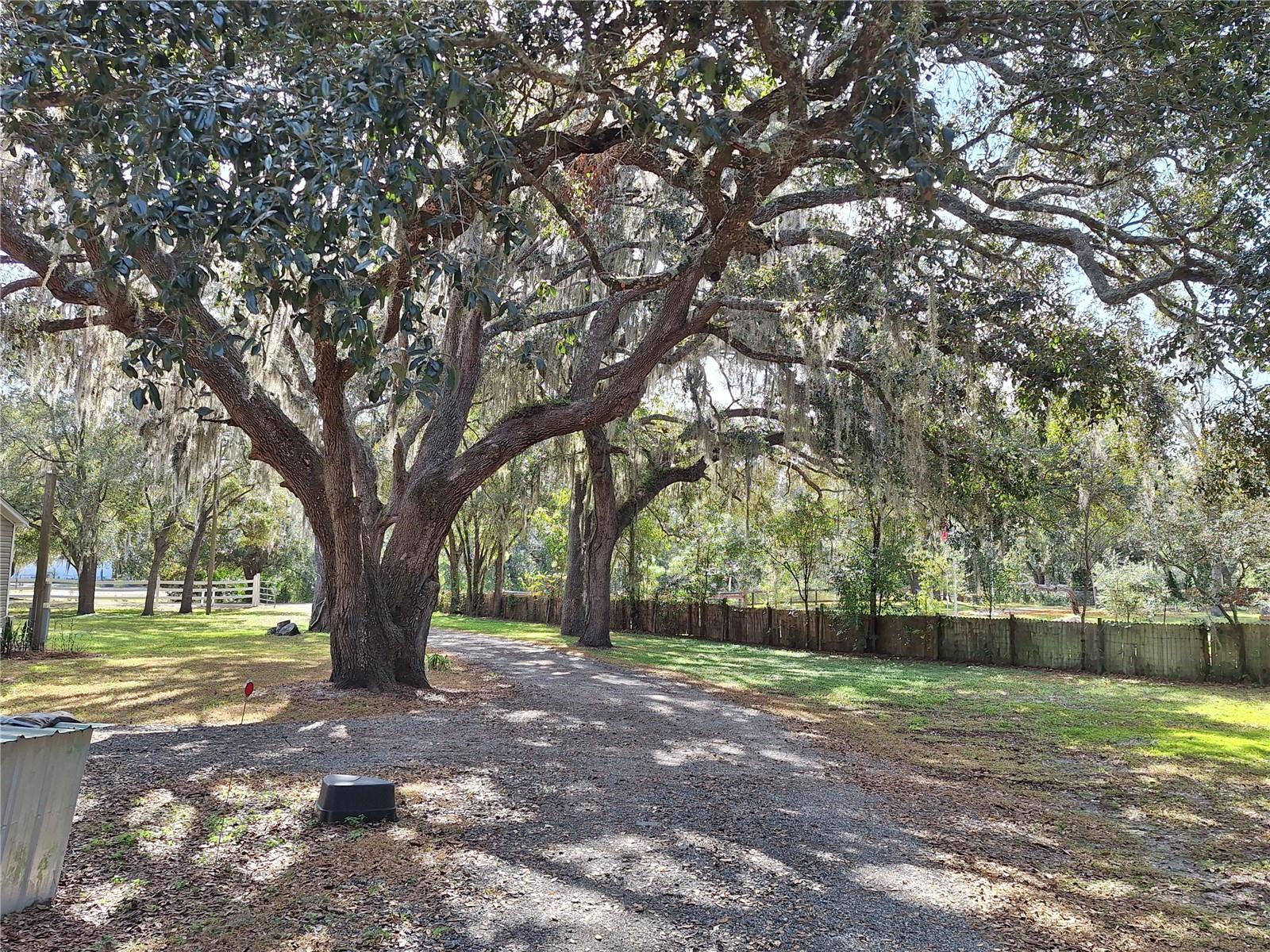 Image 87 of 97 For 13117 Media Lane