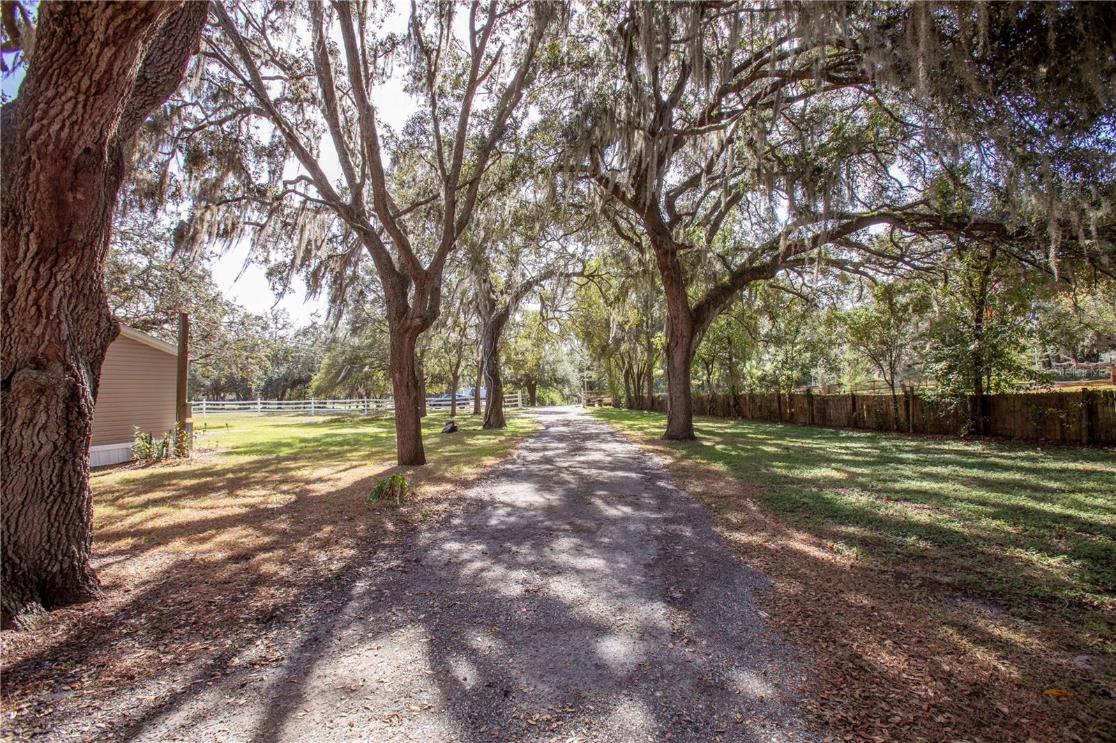 Image 88 of 97 For 13117 Media Lane