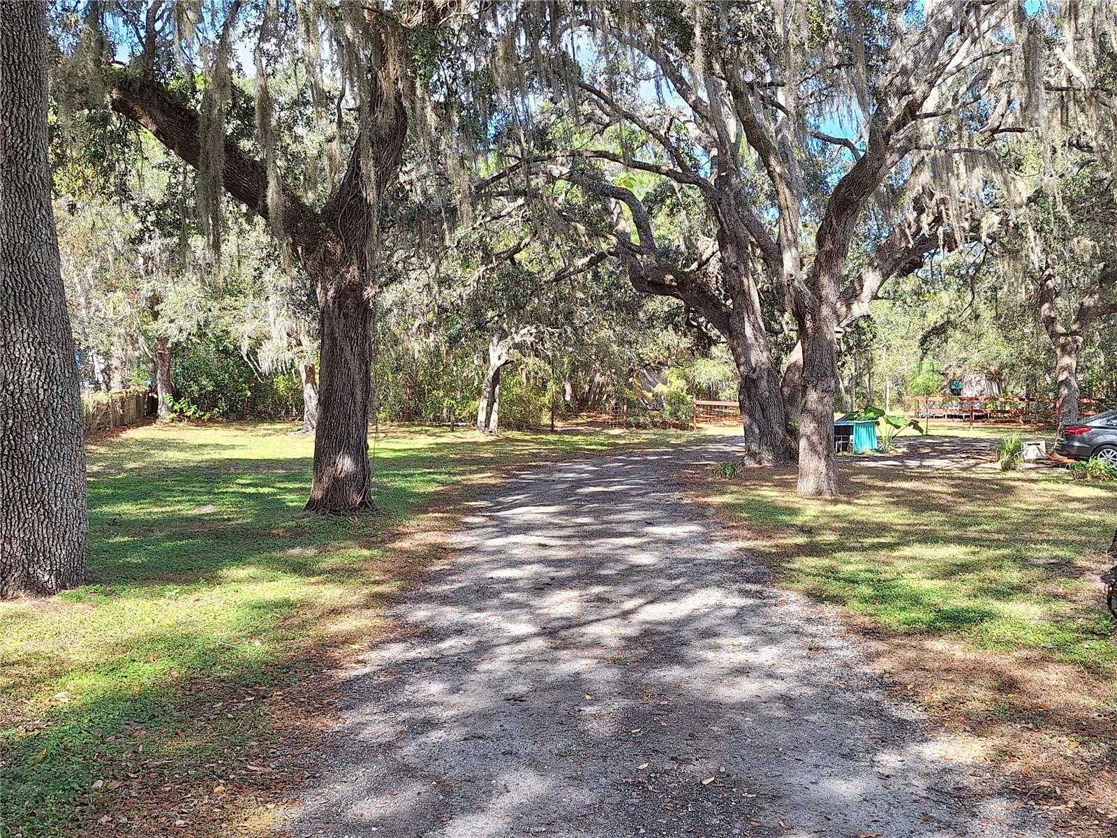 Image 9 of 97 For 13117 Media Lane