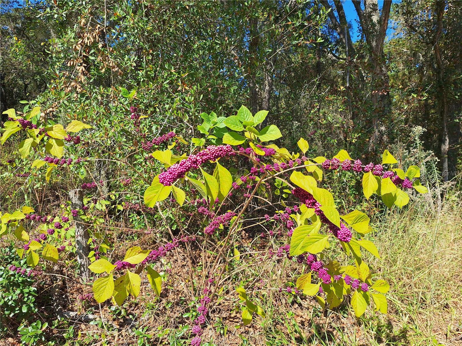 Image 94 of 97 For 13117 Media Lane