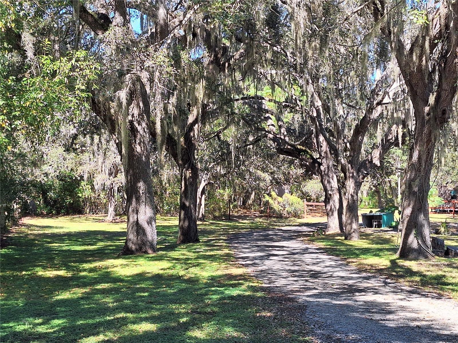 Image 97 of 97 For 13117 Media Lane