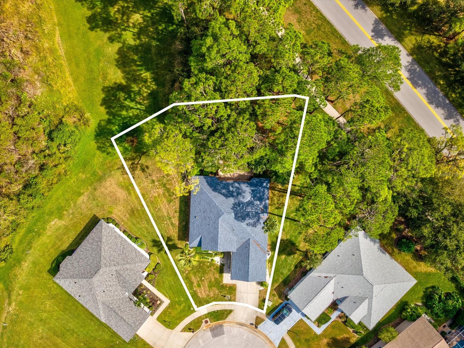 Image 41 of 74 For 11802 Wayside Willow Court