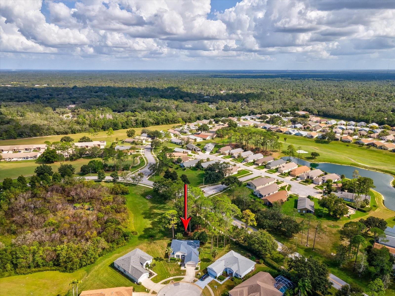 Image 42 of 74 For 11802 Wayside Willow Court