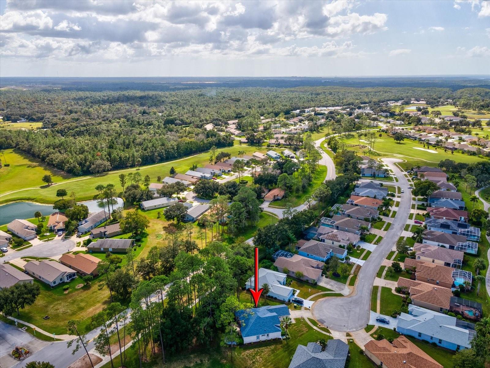 Image 44 of 74 For 11802 Wayside Willow Court