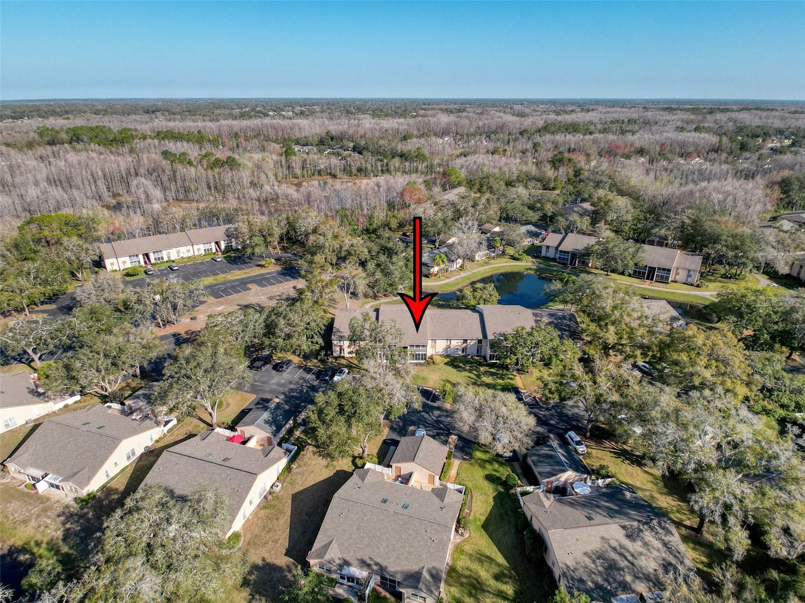 Image 41 of 53 For 13103 Cypress Hill Drive B2