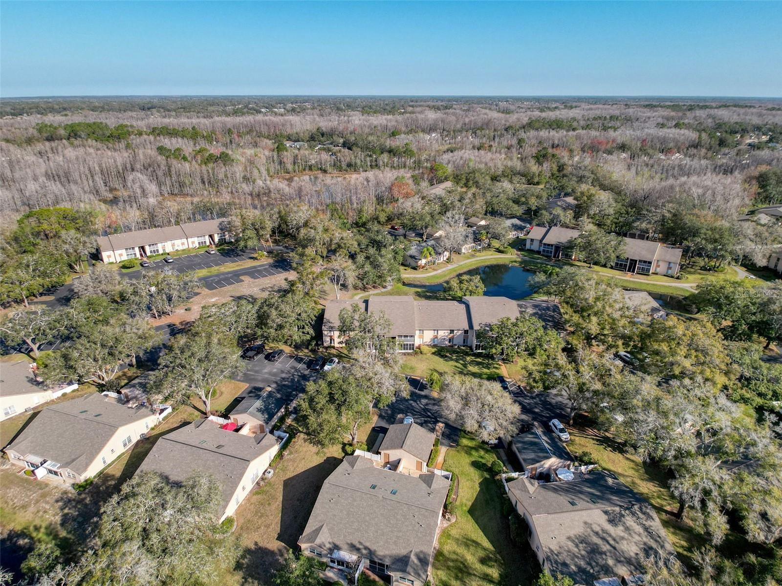 Image 42 of 53 For 13103 Cypress Hill Drive B2