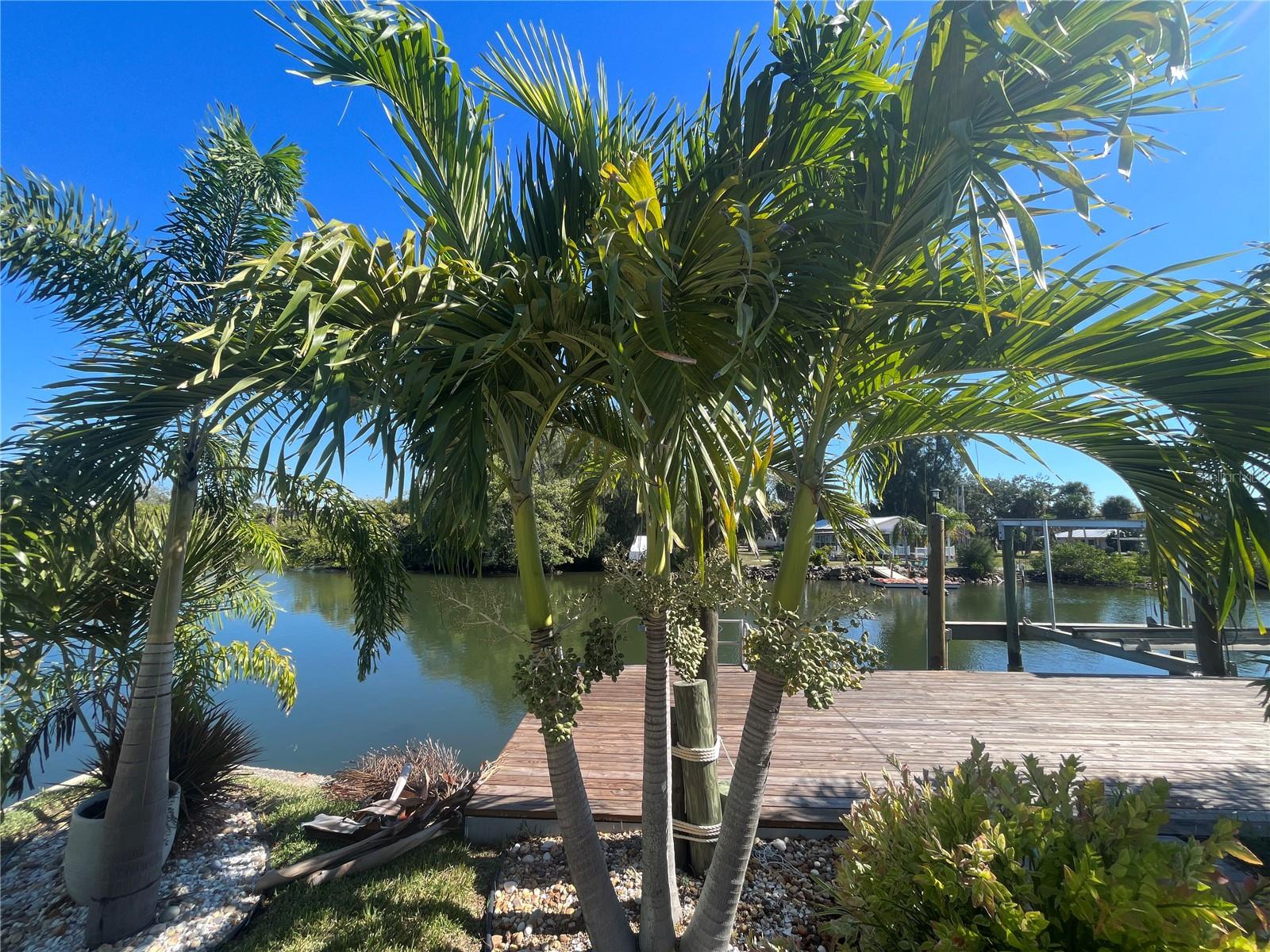 Image 40 of 41 For 14208 Shiloh Court