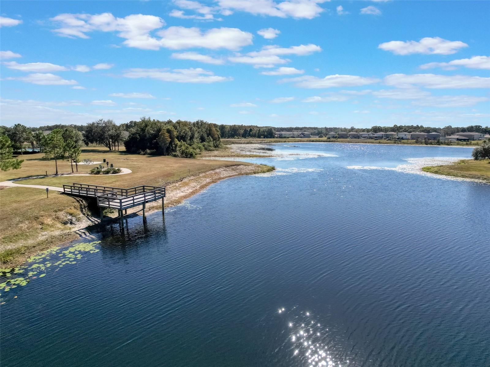 Image 49 of 60 For 13243 Crest Lake Drive