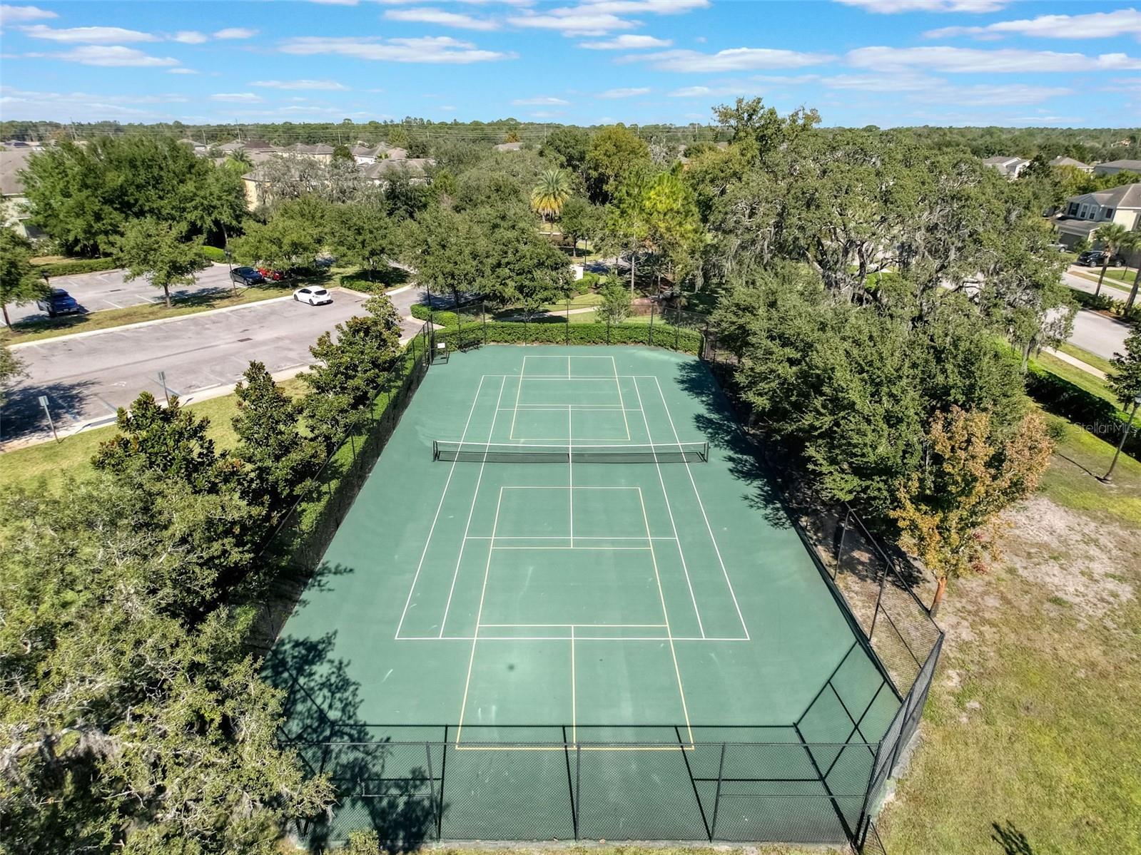 Image 53 of 60 For 13243 Crest Lake Drive