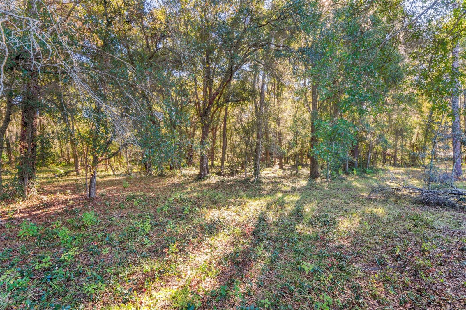 Listing photo id 35 for 26861 Mondon Hill Road