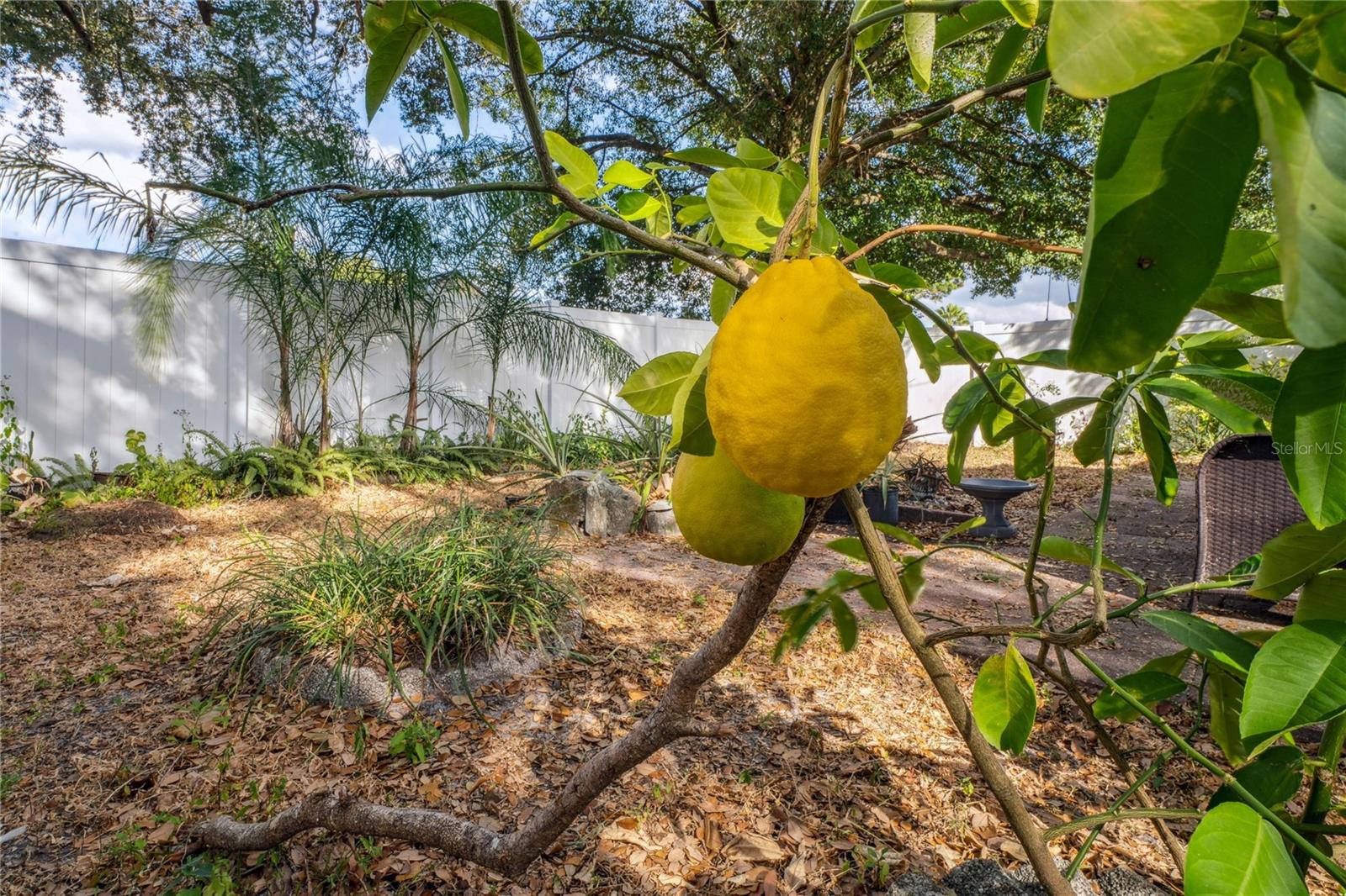 Image 20 of 31 For 5121 Lesher Court