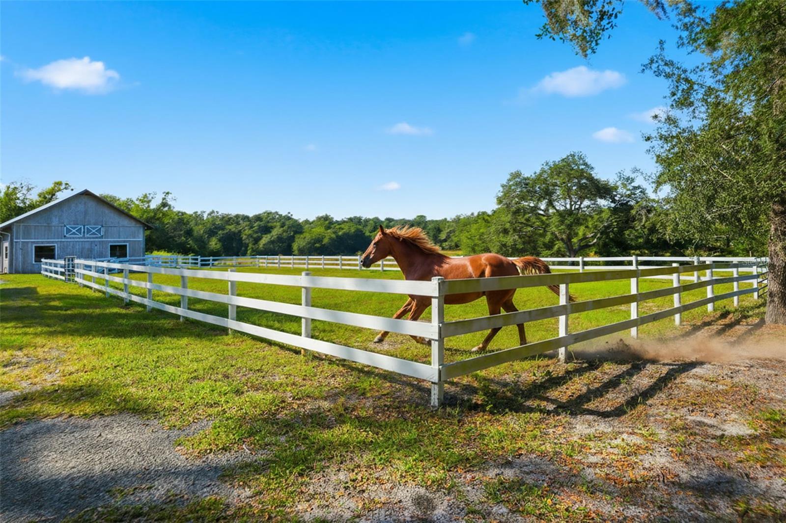 Image 3 of 87 For 14315 Family Trail