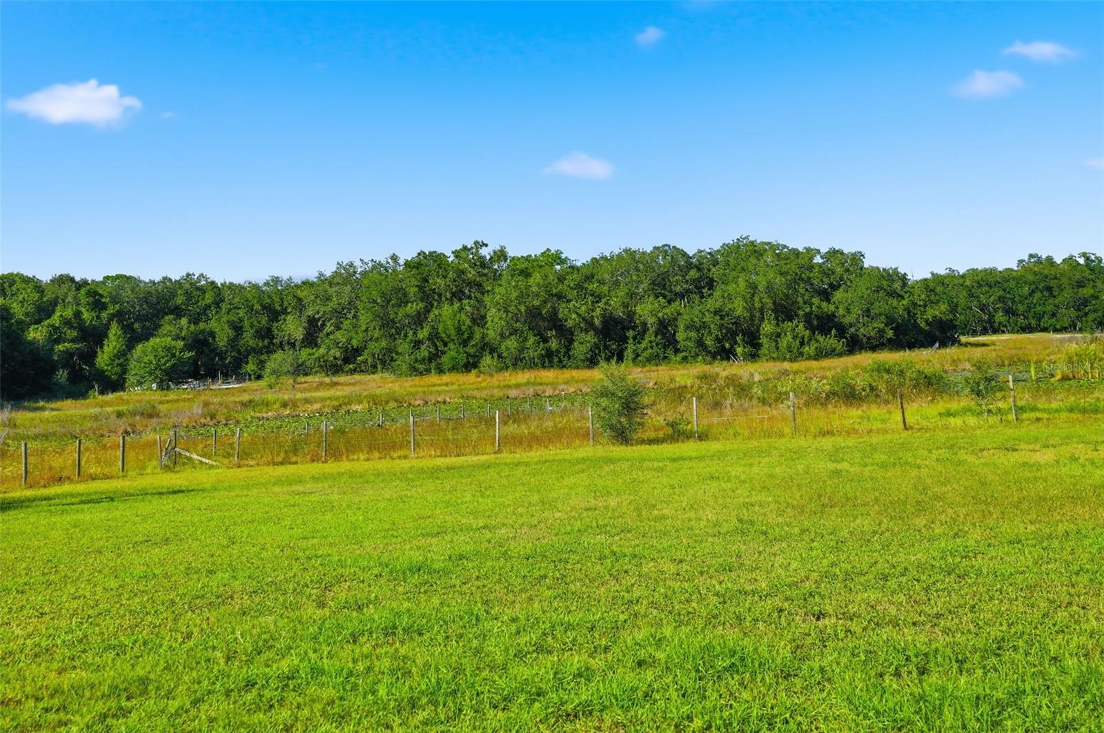 Image 57 of 87 For 14315 Family Trail