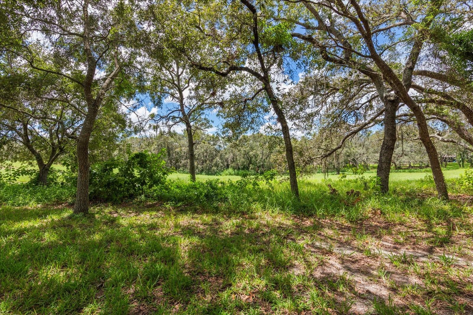 Image 27 of 45 For 371 Quane Avenue