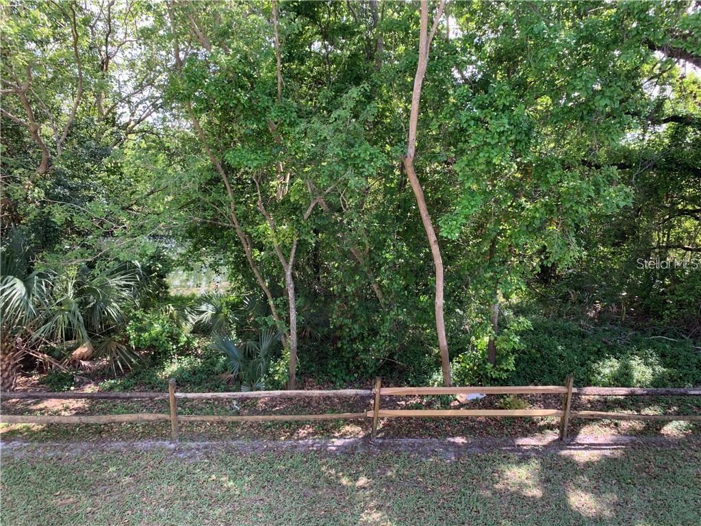 Image 31 of 46 For 112 Palmetto Court 112