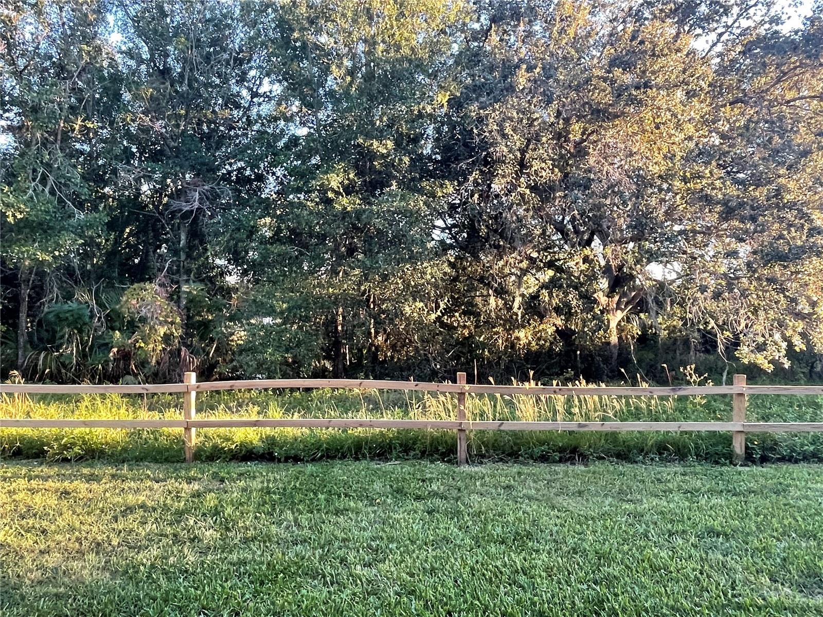 Image 43 of 46 For 112 Palmetto Court 112