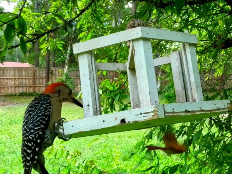 Image 34 of 47 For 5043 Goodwin Road