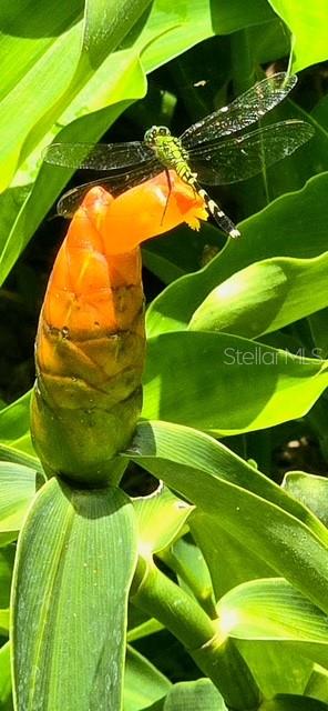 Image 35 of 47 For 5043 Goodwin Road