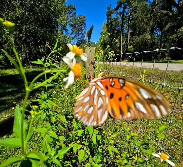 Image 36 of 47 For 5043 Goodwin Road