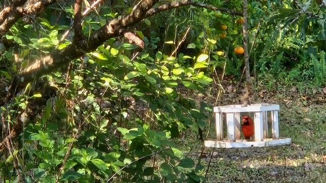 Image 37 of 47 For 5043 Goodwin Road