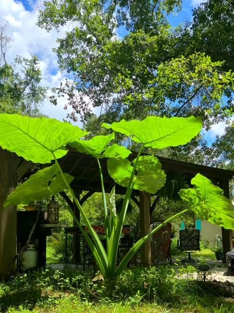 Image 38 of 47 For 5043 Goodwin Road