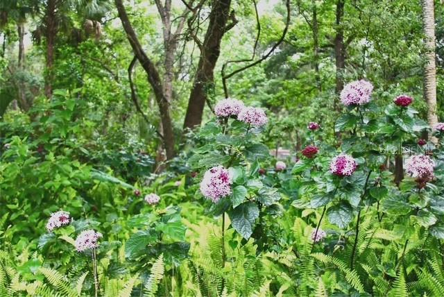 Image 39 of 47 For 5043 Goodwin Road