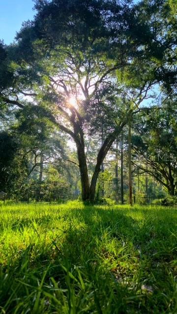 Image 4 of 47 For 5043 Goodwin Road