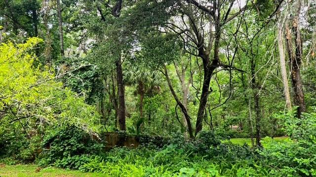 Image 41 of 47 For 5043 Goodwin Road