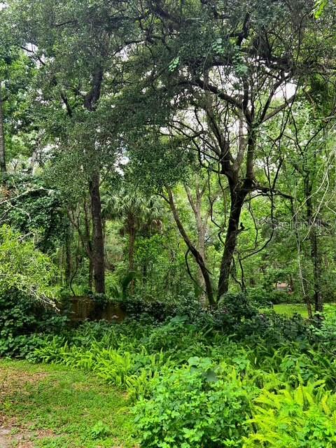 Image 42 of 47 For 5043 Goodwin Road