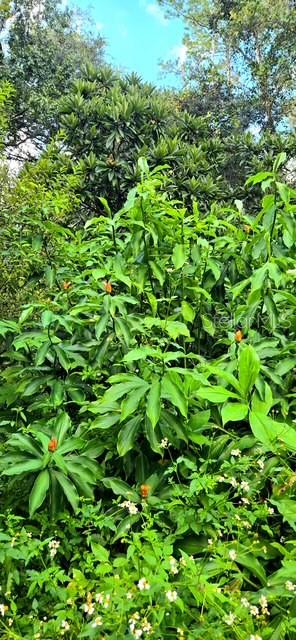 Image 43 of 47 For 5043 Goodwin Road