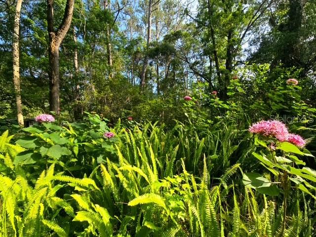 Image 45 of 47 For 5043 Goodwin Road