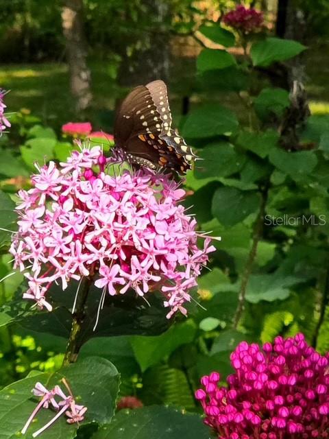 Image 7 of 47 For 5043 Goodwin Road