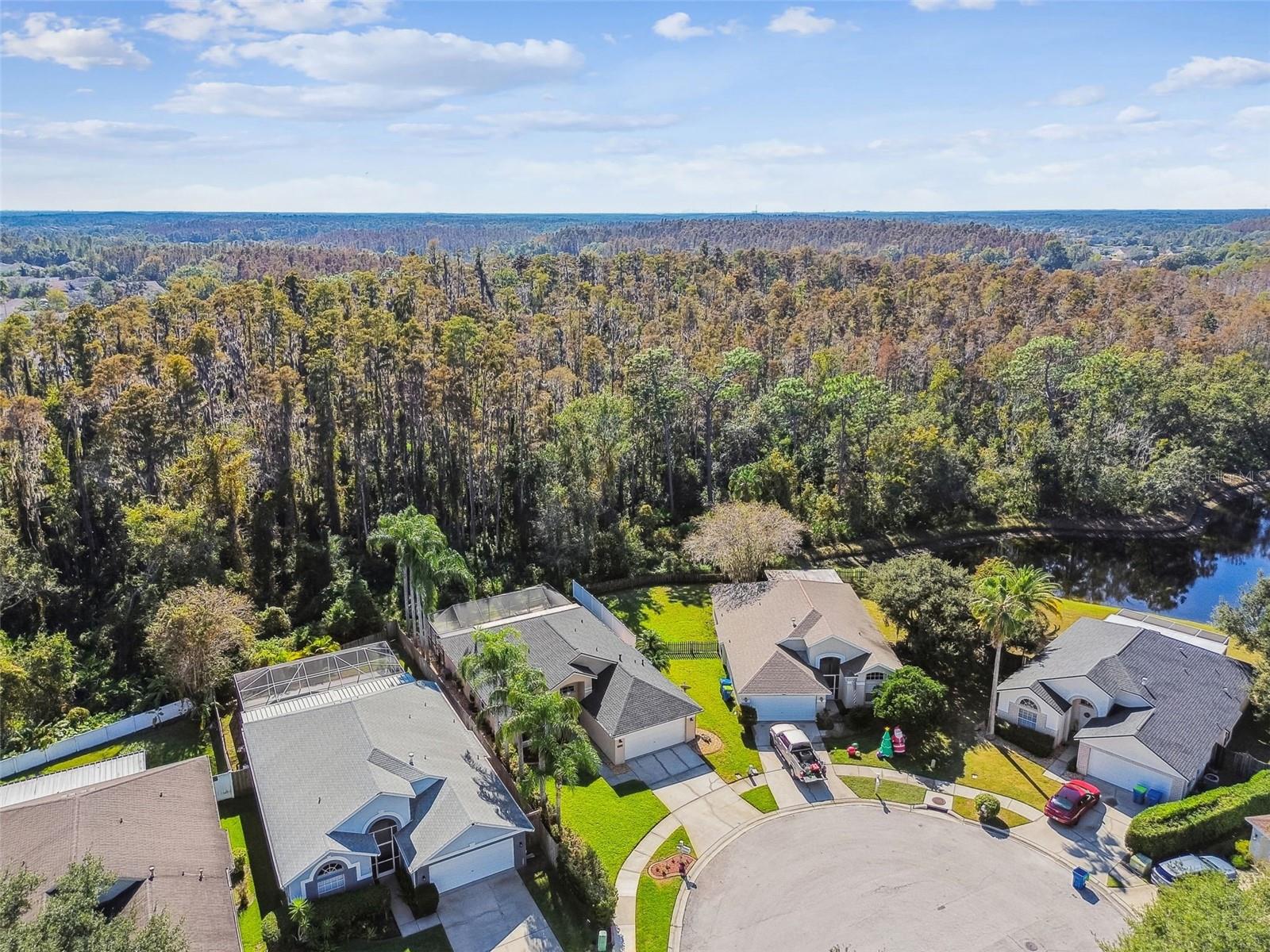 Listing photo id 48 for 29228 Birds Eye Drive