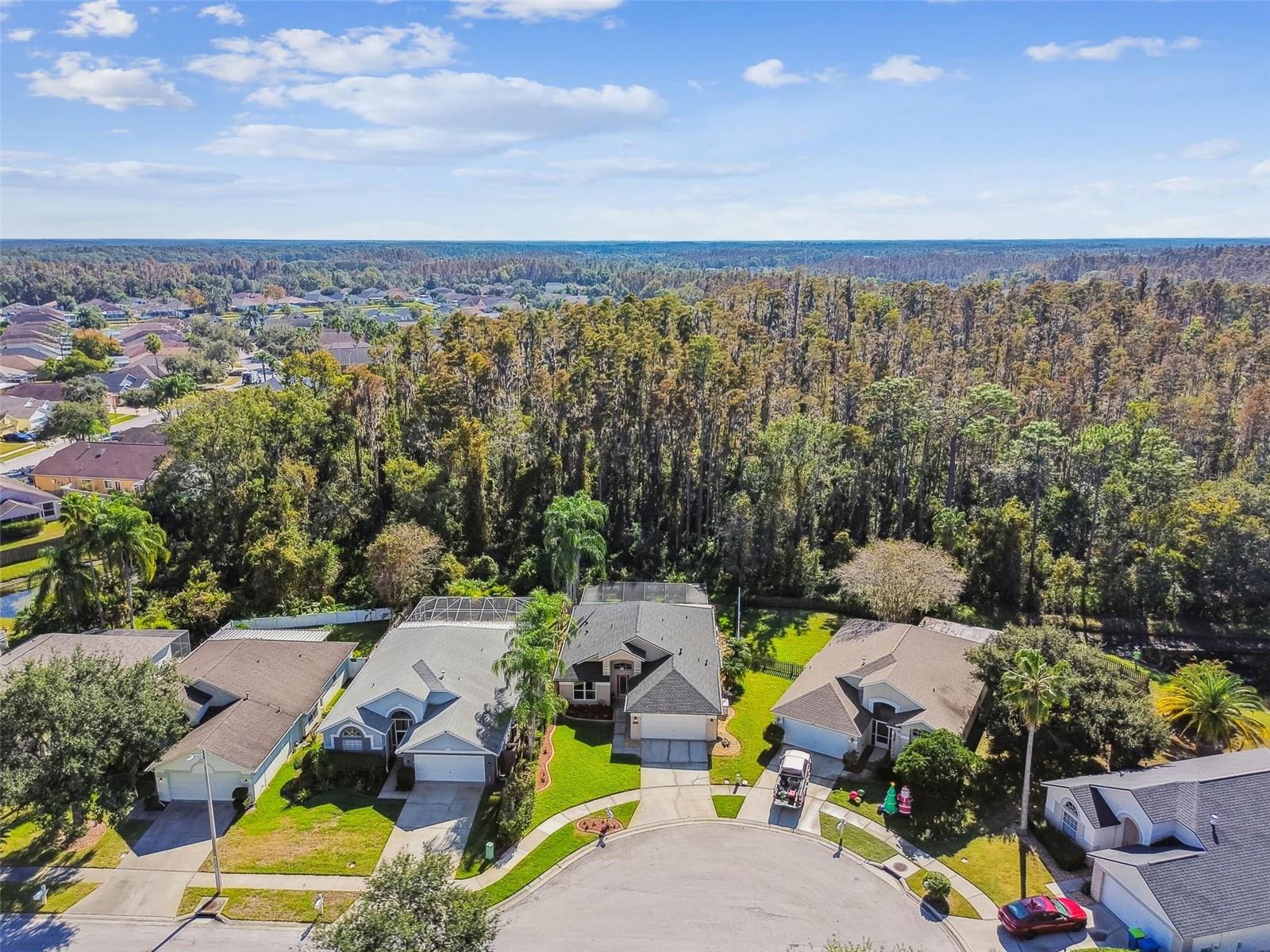 Listing photo id 49 for 29228 Birds Eye Drive