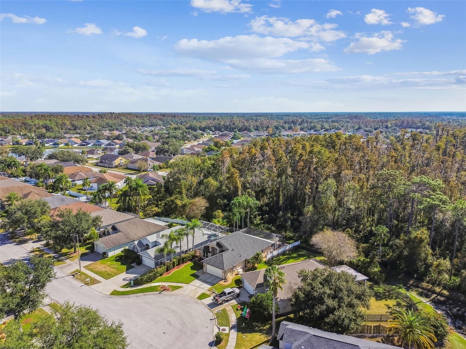 Listing photo id 50 for 29228 Birds Eye Drive