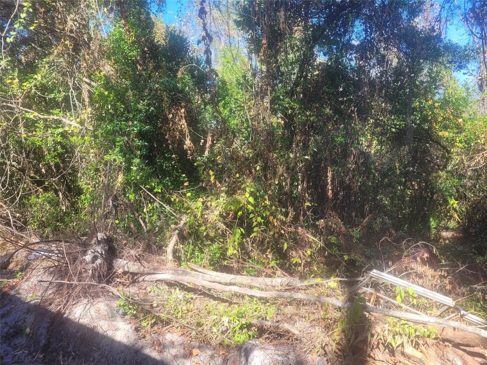 Image 2 of 3 For Adler Street