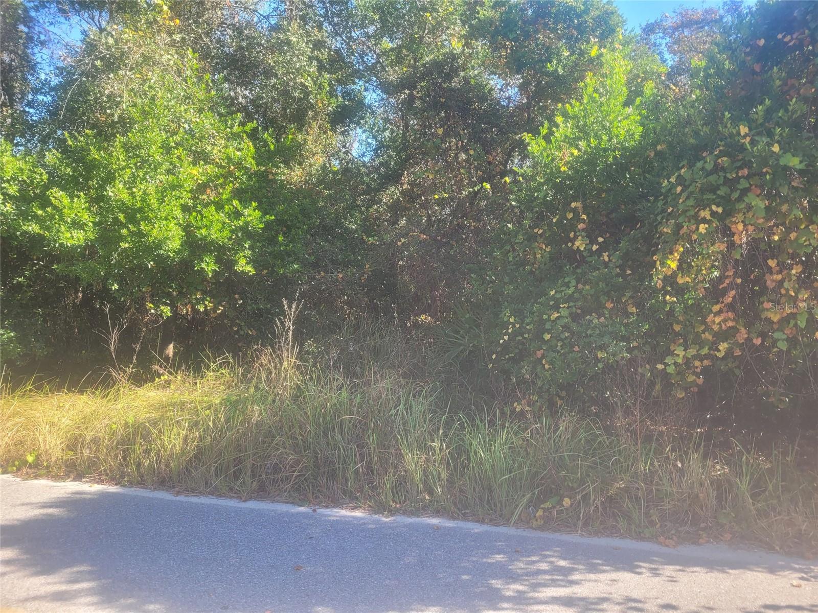 Image 3 of 3 For Adler Street