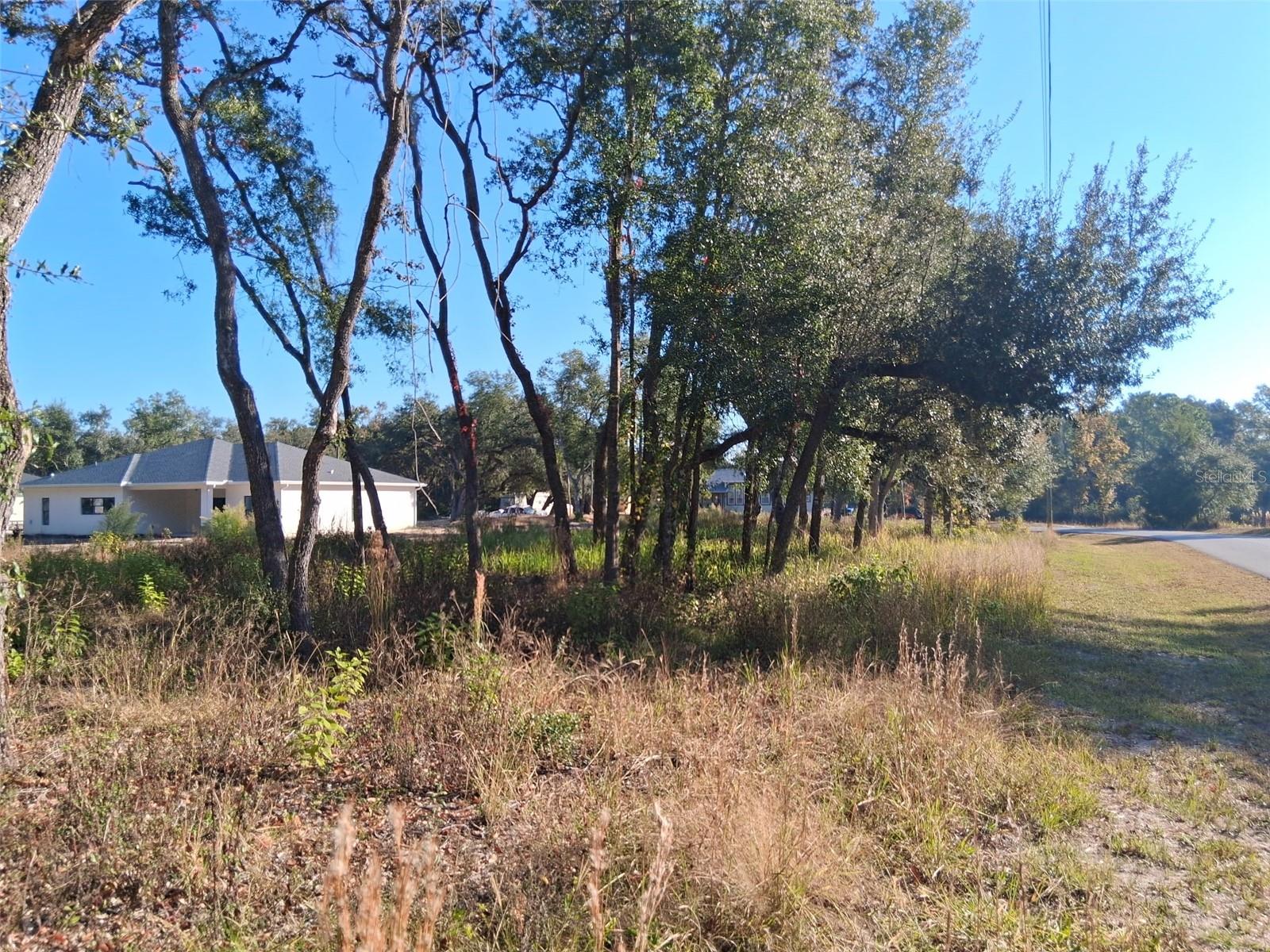 Details for 0 August Avenue, WEBSTER, FL 33597
