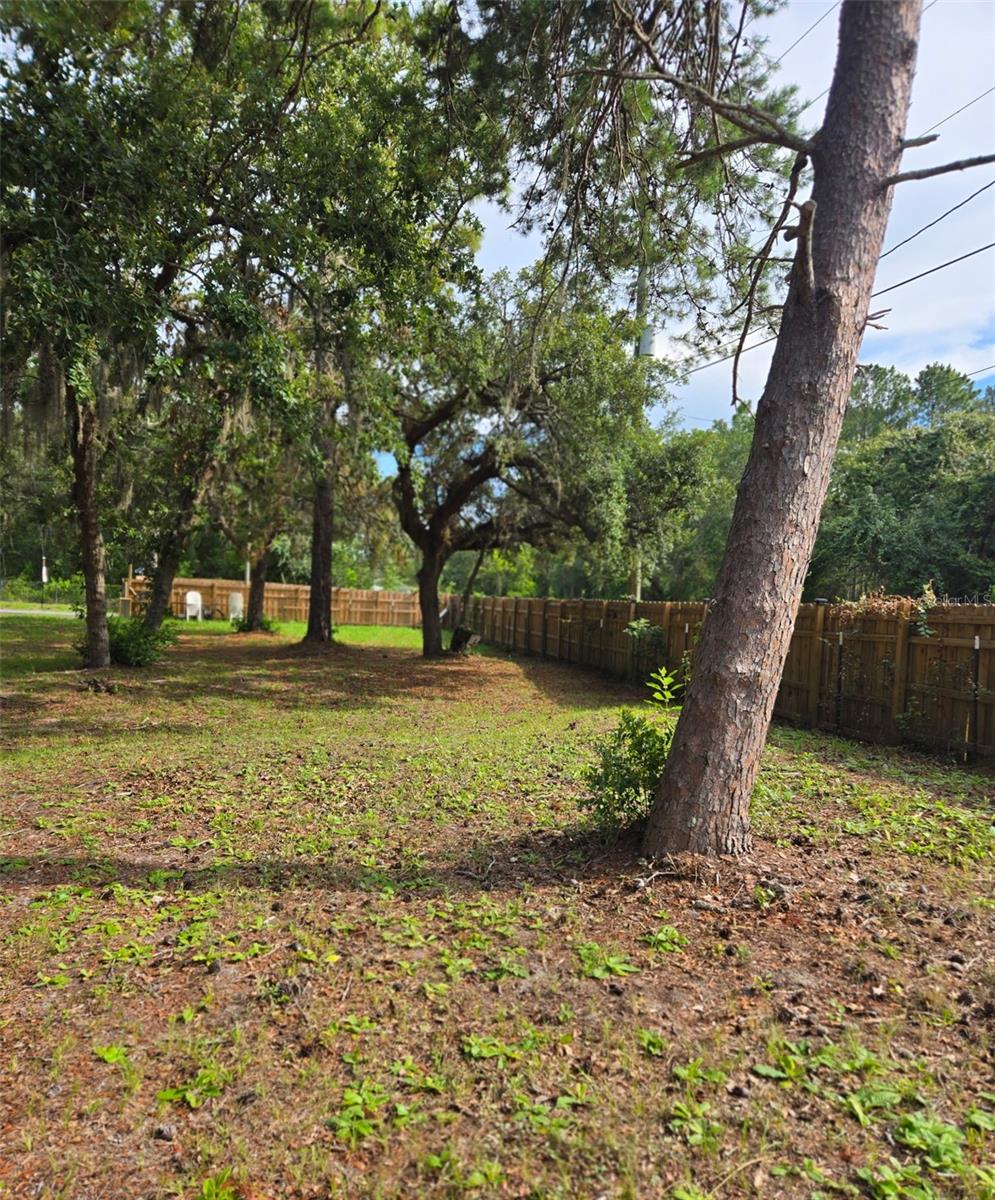 Listing photo id 2 for 17236 Shady Hills Road