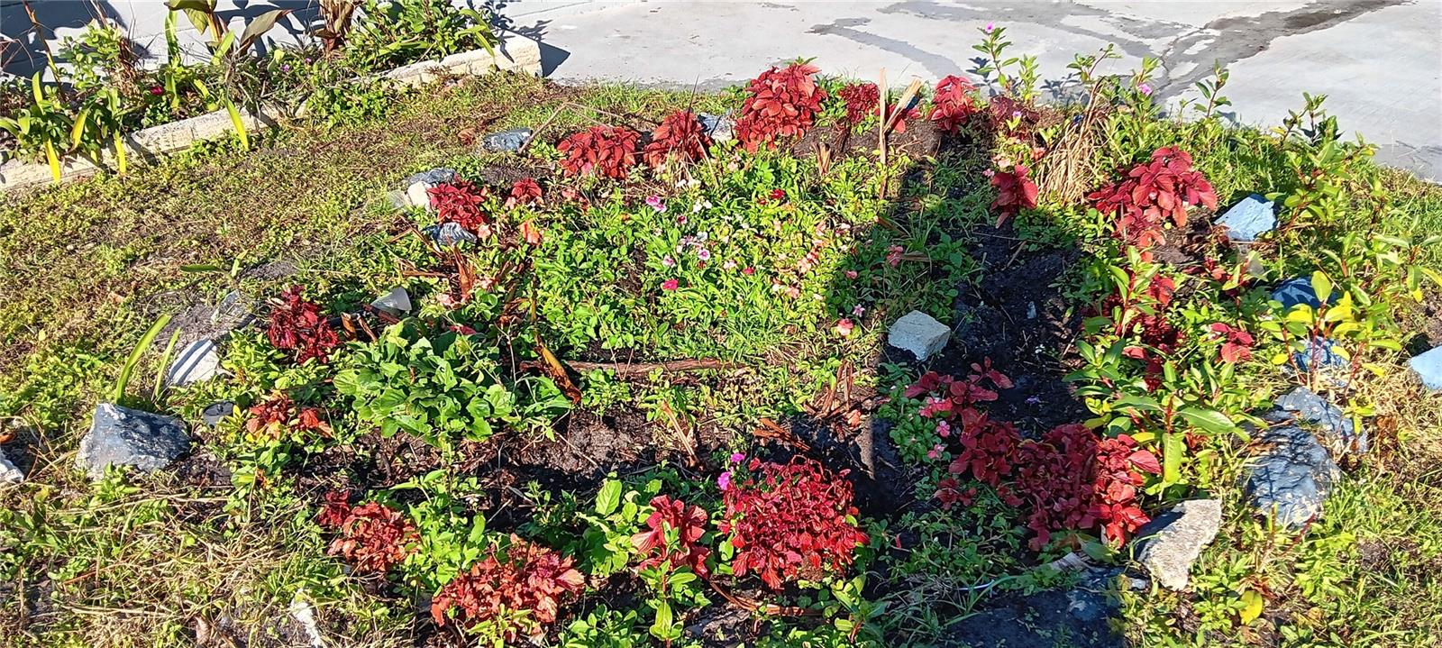 Image 45 of 47 For 1440 23rd Avenue