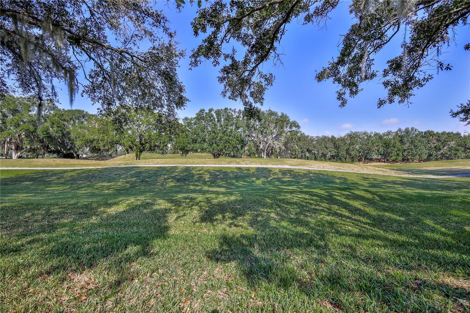 Listing photo id 47 for 15033 Middle Fairway Drive