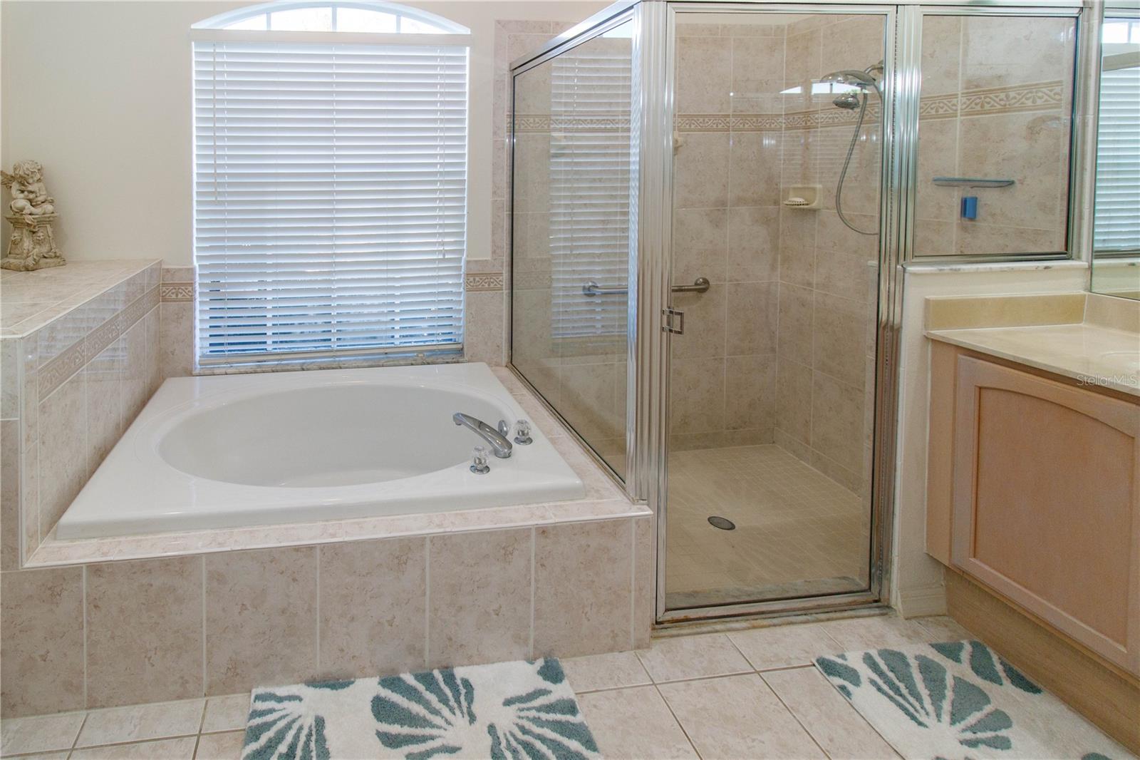 Image 31 of 48 For 2633 Timacqua Drive