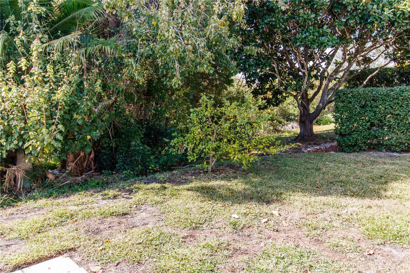 Image 38 of 48 For 2633 Timacqua Drive