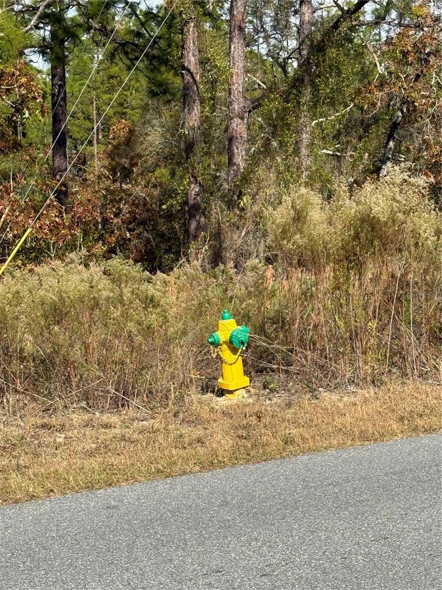 Image 5 of 5 For 220 Linder Drive