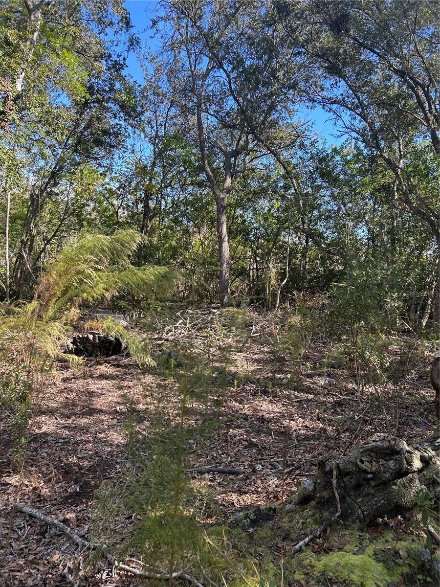 Image 3 of 8 For 7740 Smoke Trail