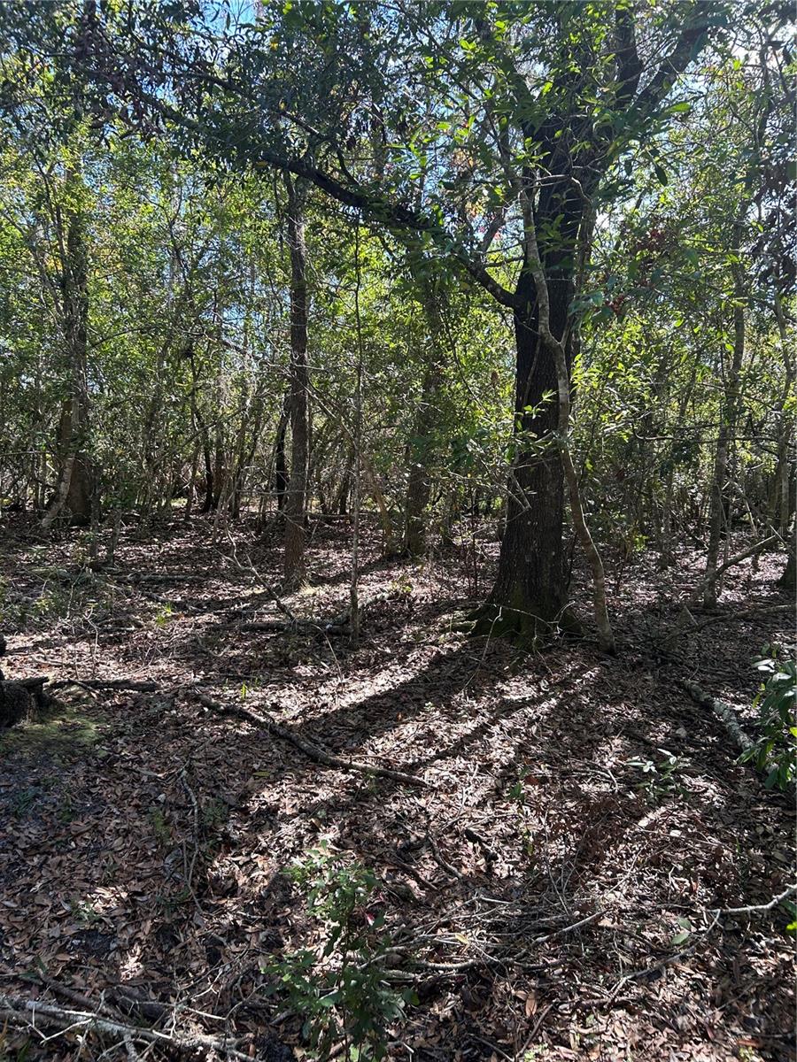 Image 4 of 8 For 7740 Smoke Trail