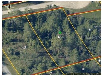 Listing Details for 0 Duncan  , WEEKI WACHEE, FL 34614