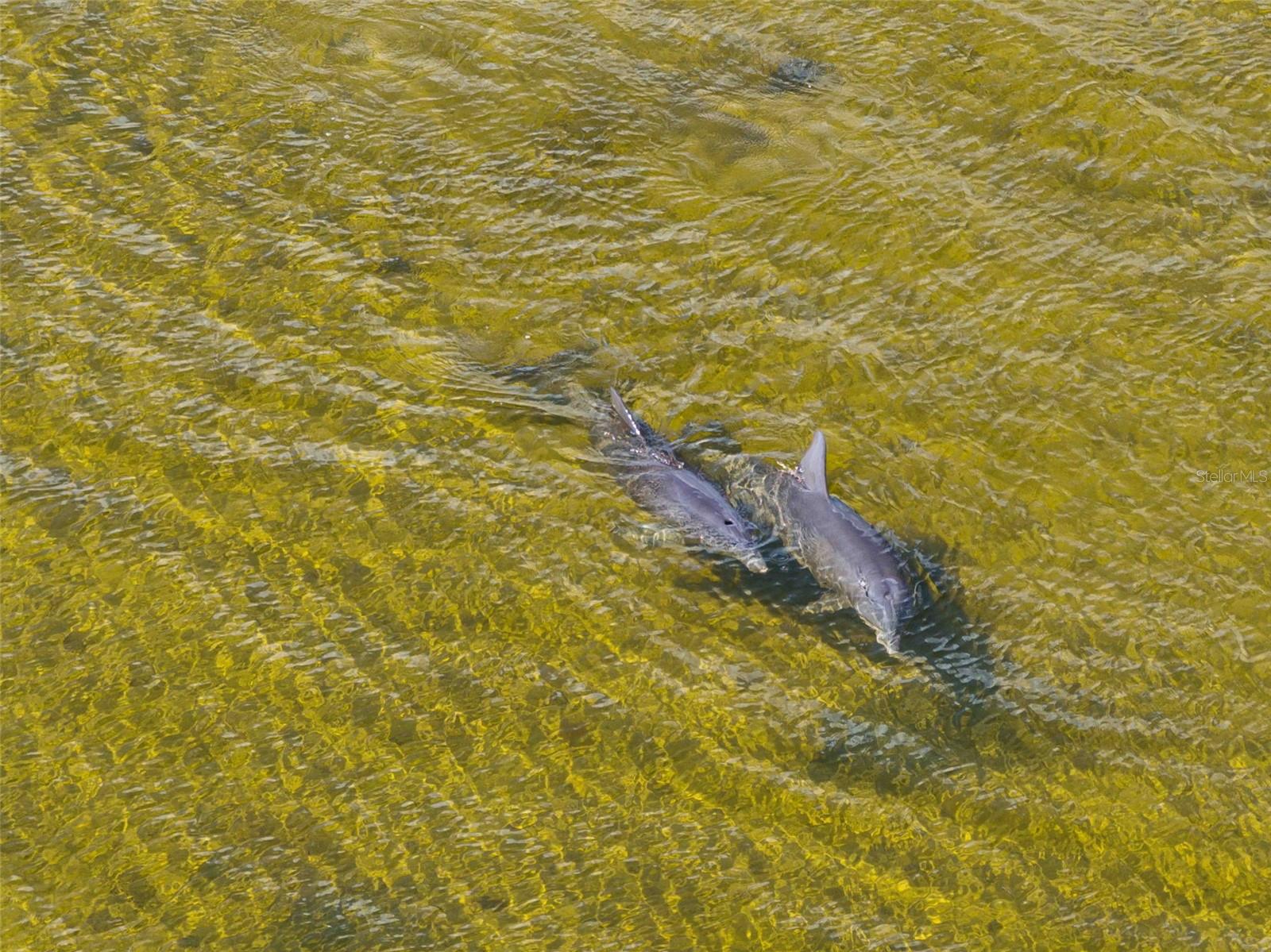 Image 13 of 13 For 3461 Cyclone Drive