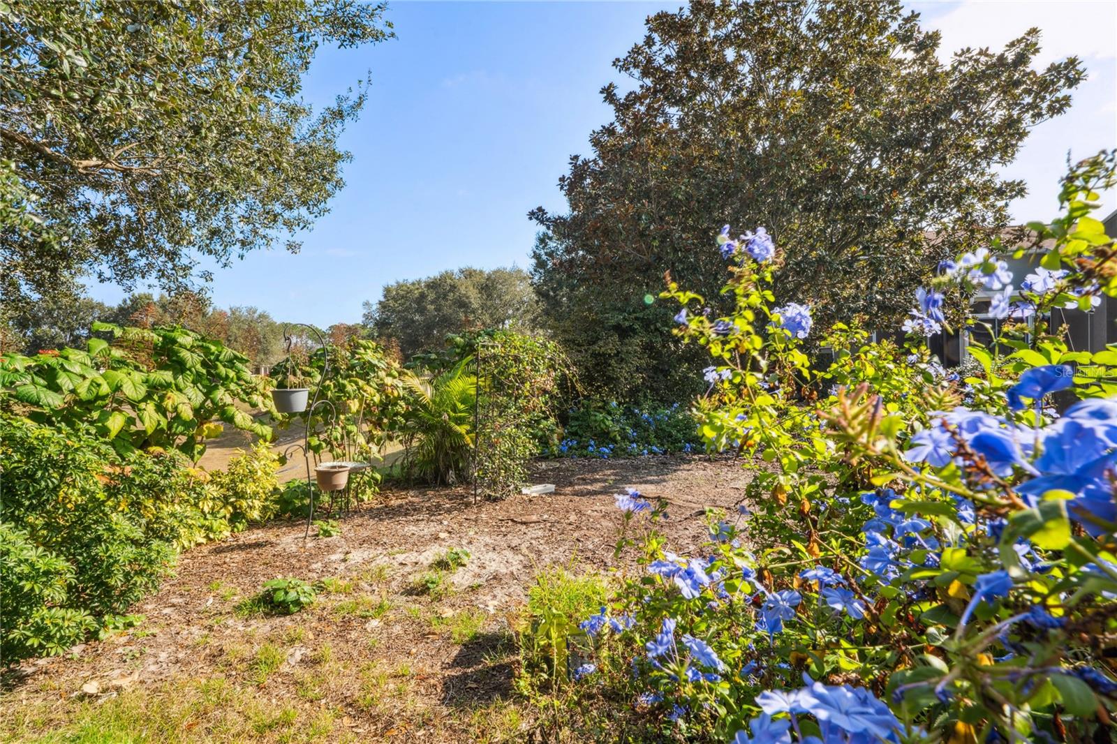 Image 42 of 85 For 322 Greenwich Circle